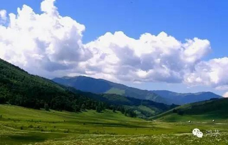 利发国际草原之旅